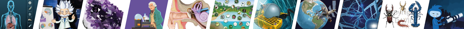 illustrations scientifiques